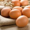 12 ovos caipiras de galinhas criadas soltas