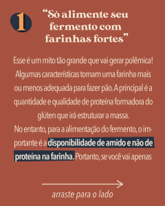 Alimentar o seu levain com farinhas fortes