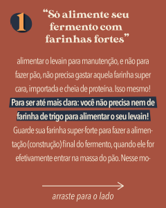 Alimentar o seu fermento com farinhas fortes