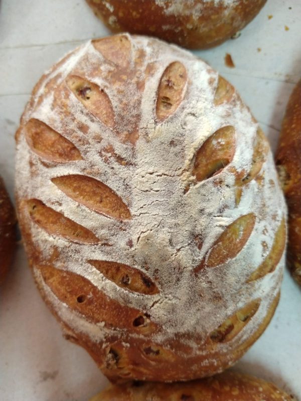 Pão de azeite espanhol Tierra Laguna e ervas frescas (450 gramas)