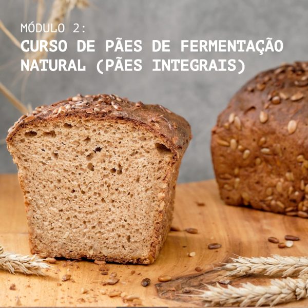 Curso de pães de fermentação natural (Pães integrais) - Módulo 2 (avançado)