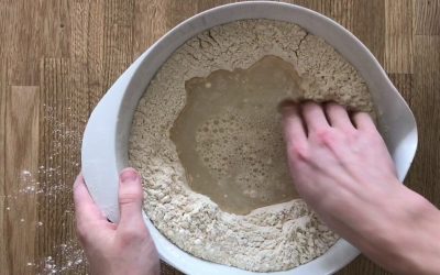 Autólise: misturar farinha e água