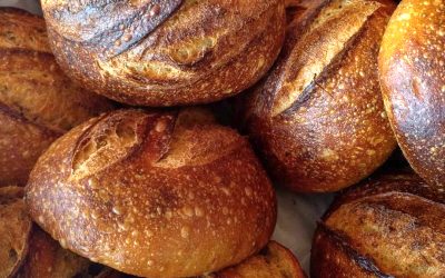 Beagá Sourdough